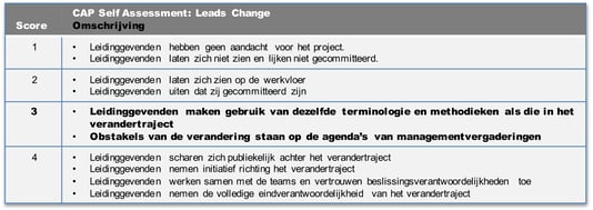 cap model leading change voorbeeld 2.png