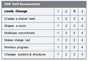 cap model leading change voorbeeld.png