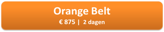 Orange Belt training