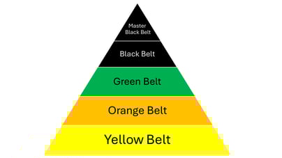 Yellow Belt beltstructuur