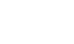logowit