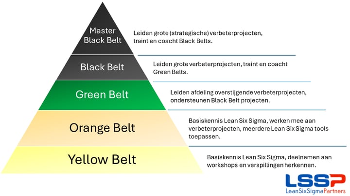 beltstructuur new-1