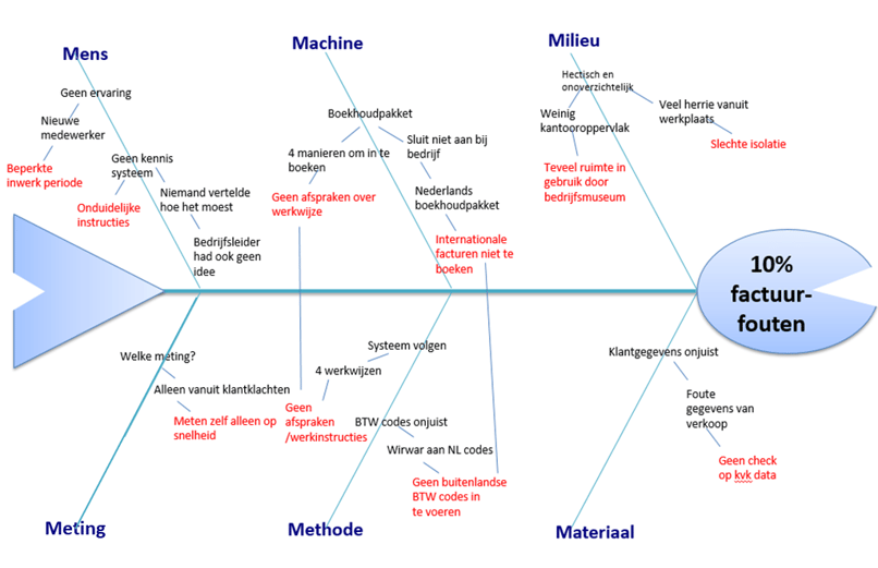 Voorbeeld visgraatdiagram