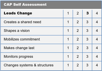 Voorbeeld CAP self assessment