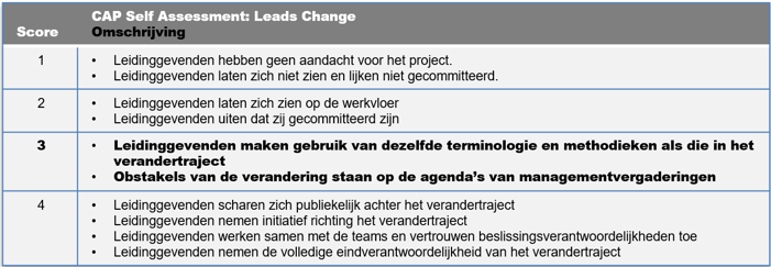 CAP self assessment: leads change
