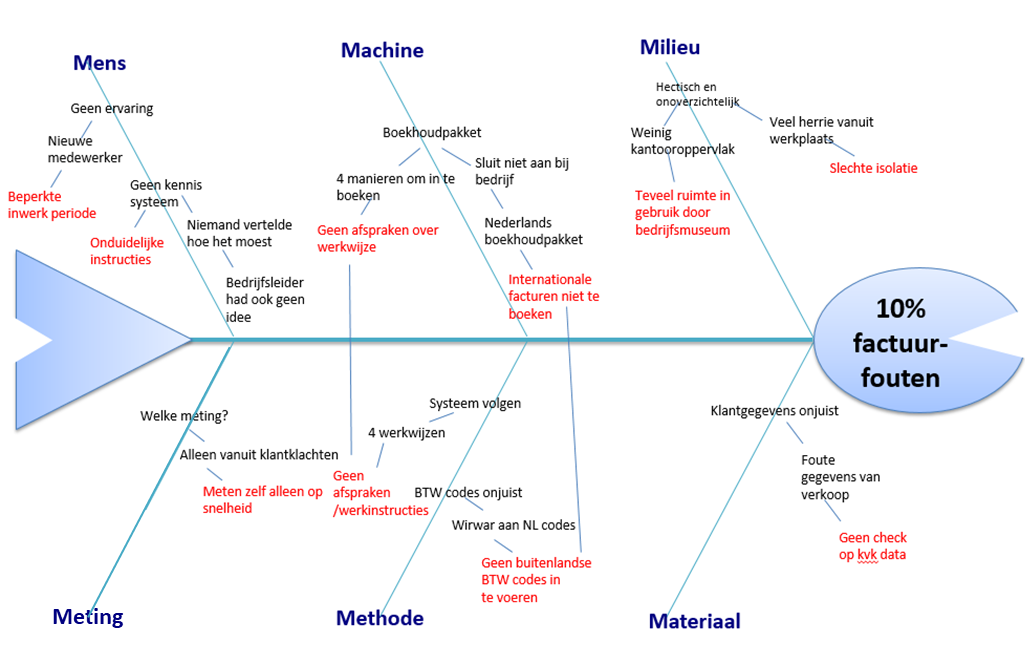 Voorbeeld visgraatdiagram