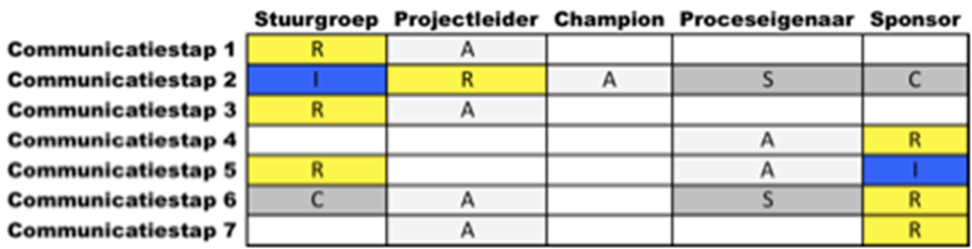 Voorbeeld RASCI matrix
