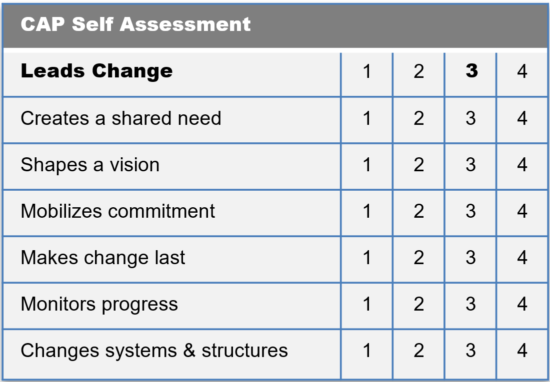 CAP model self assessment
