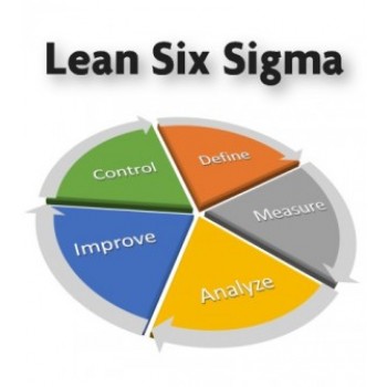 Welke Lean Six Sigma opleiding past het beste bij jou?