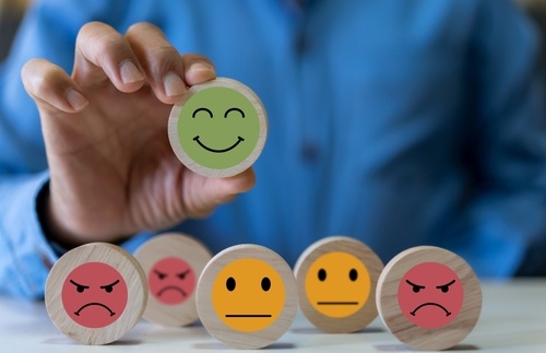 voice of the customer